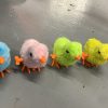 Toy Chick