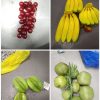 Artificial fruits